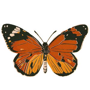 Butterfly - Premium Vinyl Sticker